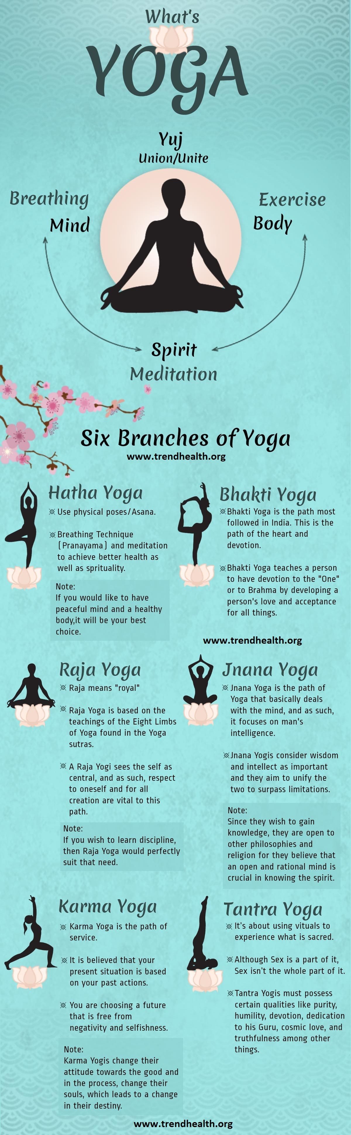 what is yoga