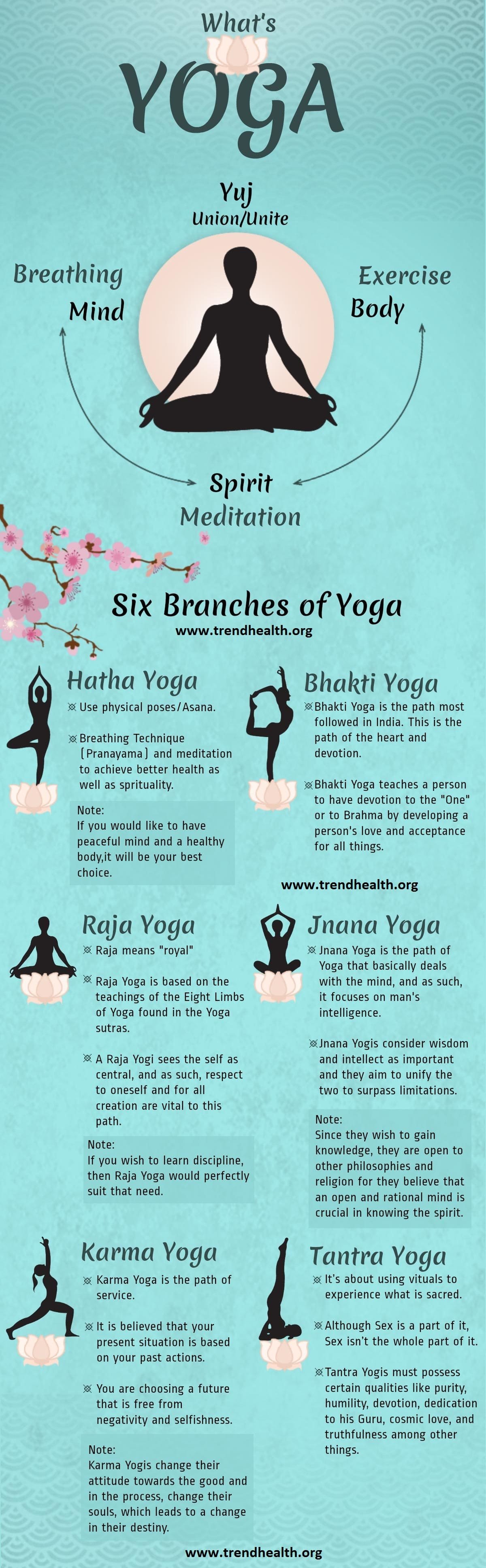 What is yoga, trend health