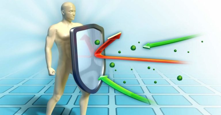 How does infection affect the Immune System?