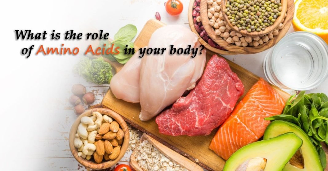 What is the role of amino acids in your body?, trend health