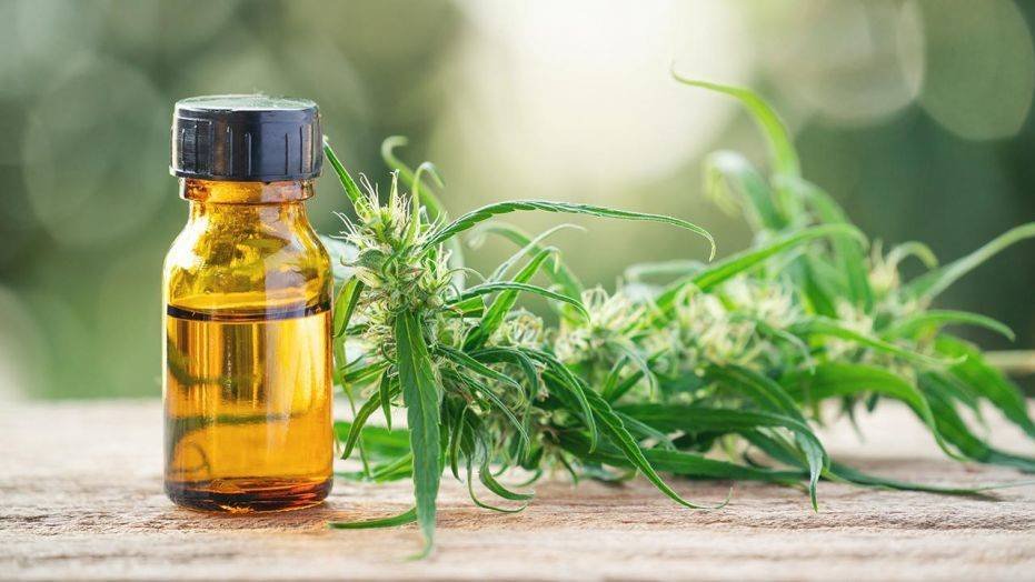Benefits of CBD, Trend Health