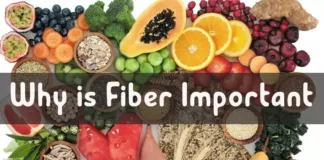 Why is Fiber Important?, Trend Health