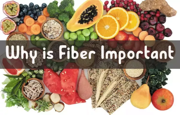 Why is Fiber Important?, Trend Health