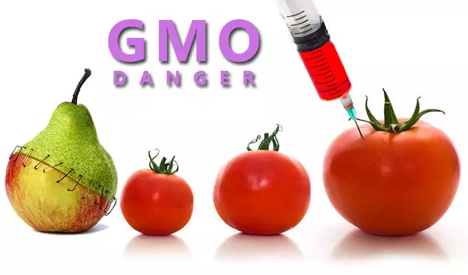 Genetically Modified Food, Trend Health