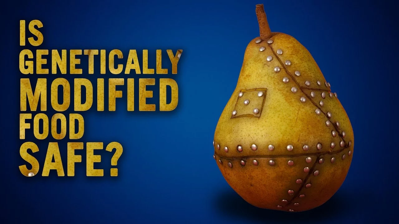 Genetically Modified Food, Trend Health