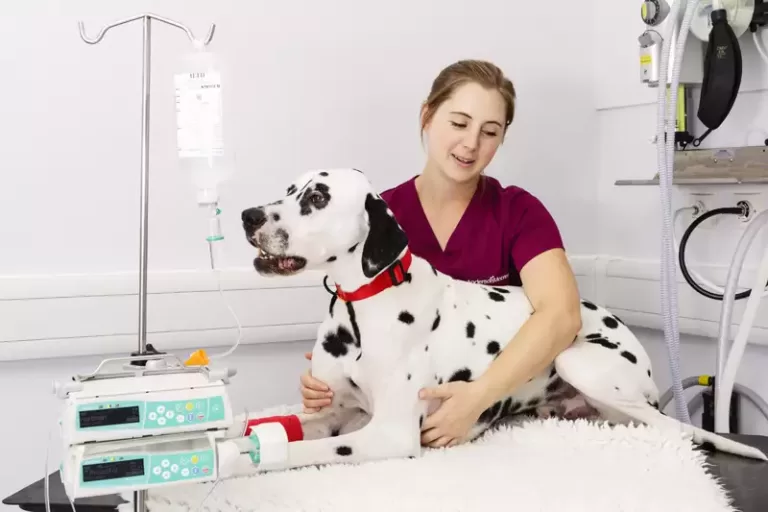 Vet Infusion Pump, Trend Health
