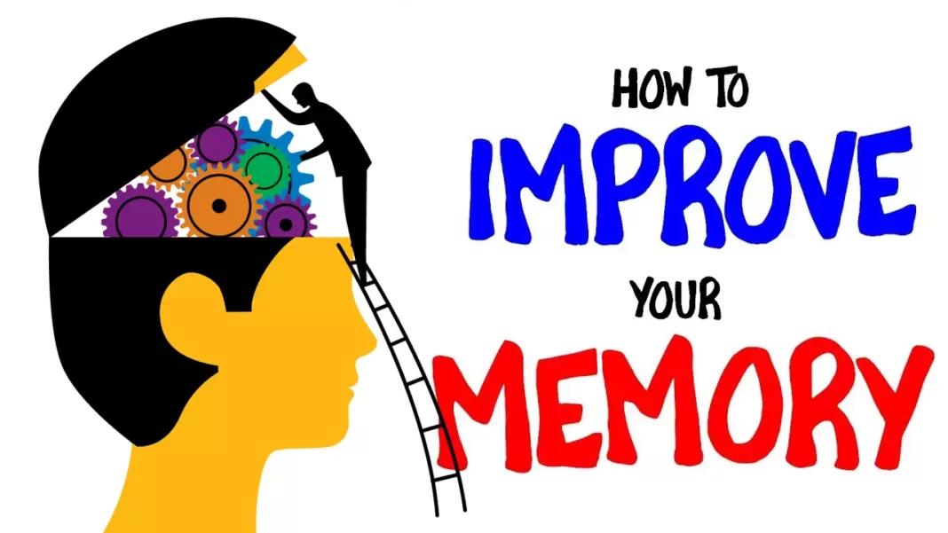 improving memory for seniors, Trend Health