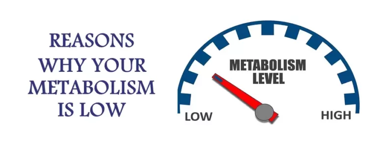 8 Things that Slow Down Your Metabolism