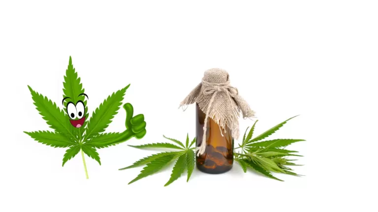 Hemp Oil, Trend Health