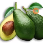 Health Benefits Of Avocado, Trend Health