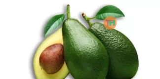 Health Benefits Of Avocado, Trend Health