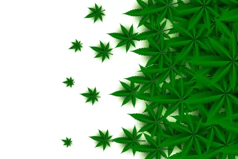 CBD Wellness, Trend Health