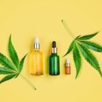 Role of CBD Products, Trend Health
