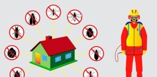 Pest control 101