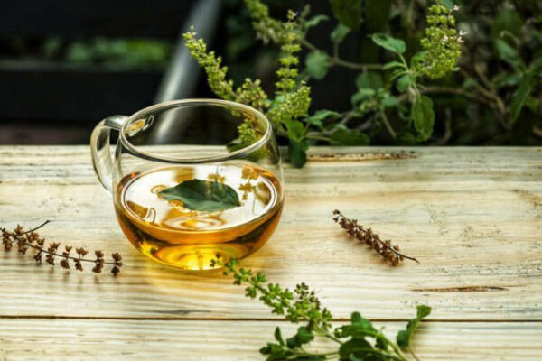 Science Behind Tulsi Tea